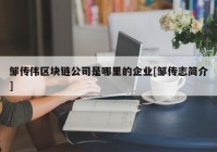 邹传伟区块链公司是哪里的企业[邹传志简介]