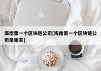 海南第一个区块链公司[海南第一个区块链公司是哪家]