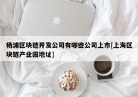 杨浦区块链开发公司有哪些公司上市[上海区块链产业园地址]